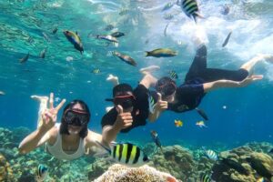 New Gallery Frendos Holiday 11